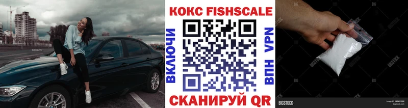 Кокаин FishScale  Купить  Вязники 