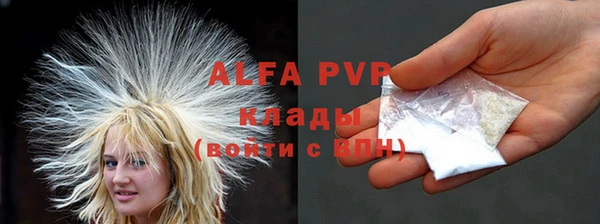 индика Богородицк