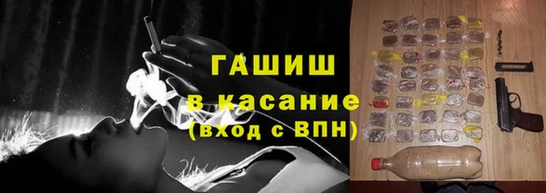 индика Богородицк