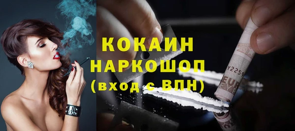 индика Богородицк