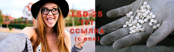 индика Богородицк