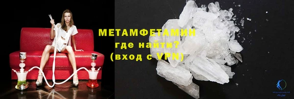 индика Богородицк