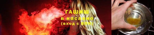 индика Богородицк