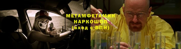 индика Богородицк