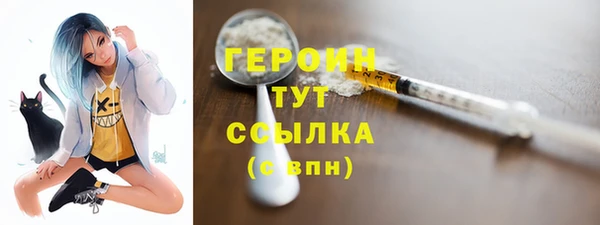 индика Богородицк