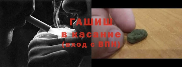 индика Богородицк