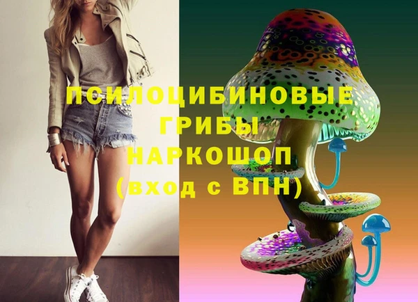 индика Богородицк