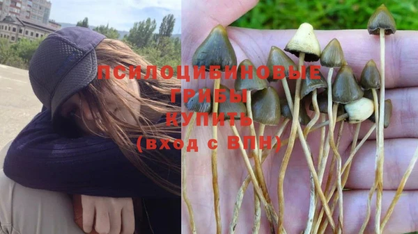 эйфоретик Богданович