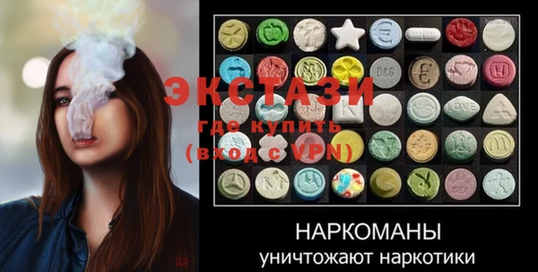 индика Богородицк
