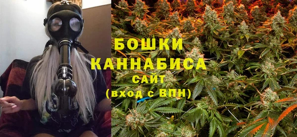 индика Богородицк