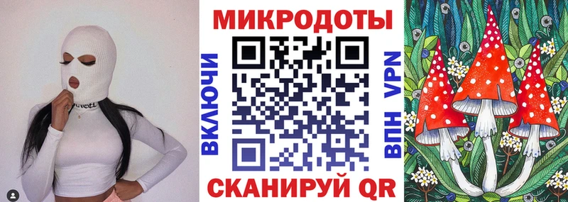 Купить  Вязники  Галлюциногенные грибы Psilocybe 